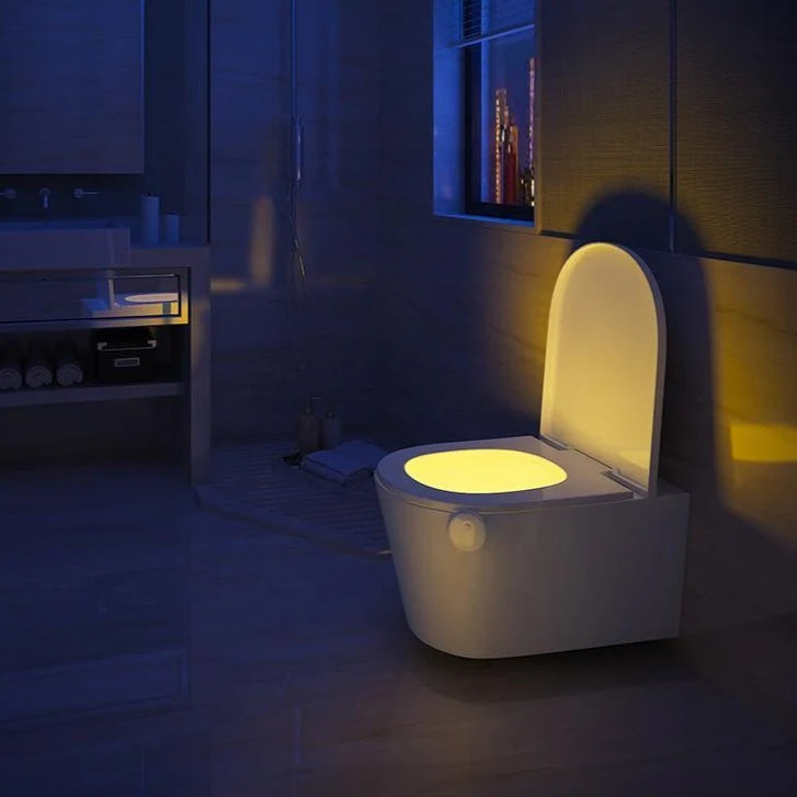 Lampe LED pour toilette